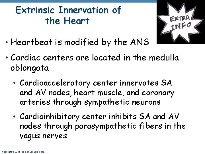 Extrinsic Innervation of the Heart • Heartbeat is modified by the ANS • Cardiac