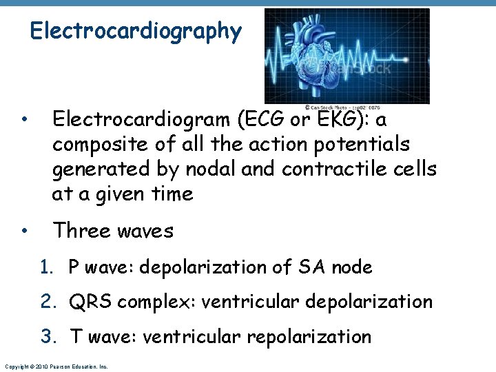 Electrocardiography • Electrocardiogram (ECG or EKG): a composite of all the action potentials generated