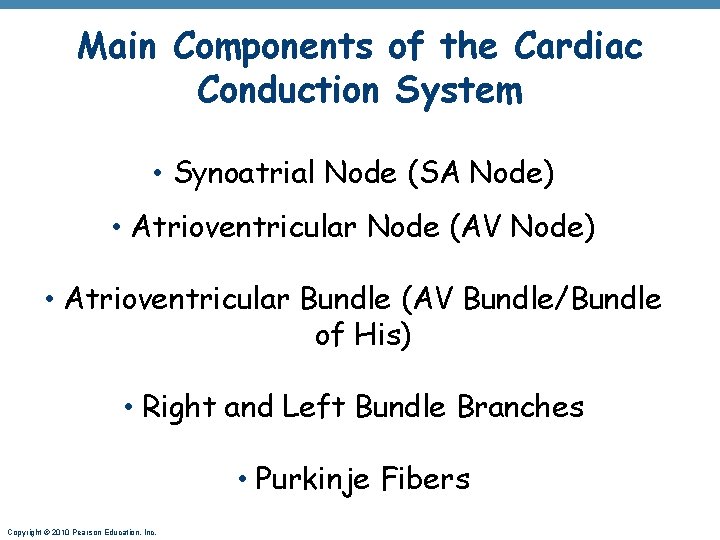 Main Components of the Cardiac Conduction System • Synoatrial Node (SA Node) • Atrioventricular