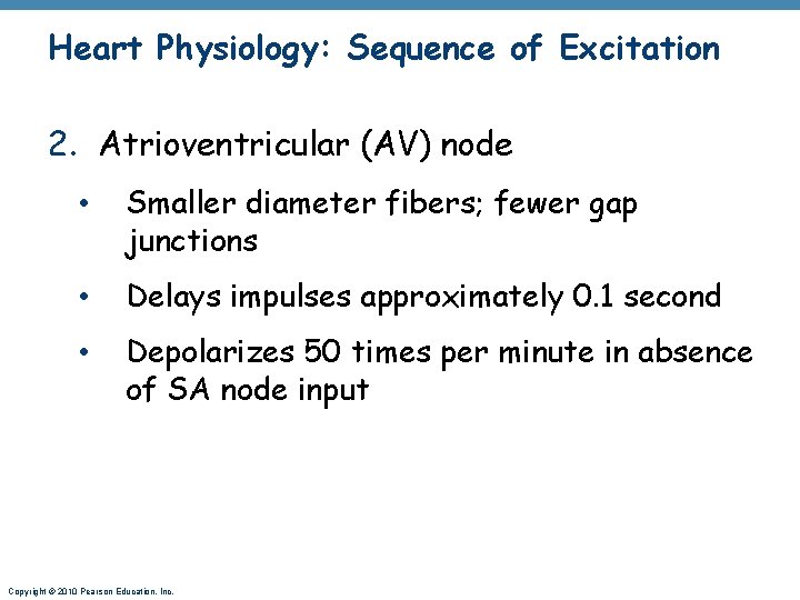 Heart Physiology: Sequence of Excitation 2. Atrioventricular (AV) node • Smaller diameter fibers; fewer