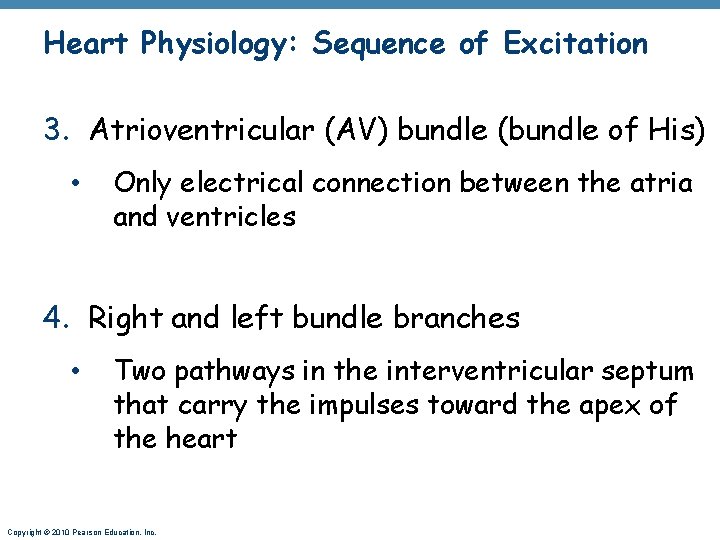 Heart Physiology: Sequence of Excitation 3. Atrioventricular (AV) bundle (bundle of His) • Only
