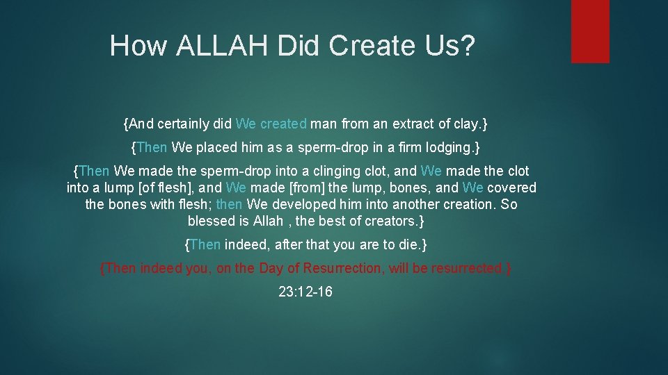 How ALLAH Did Create Us? {And certainly did We created man from an extract