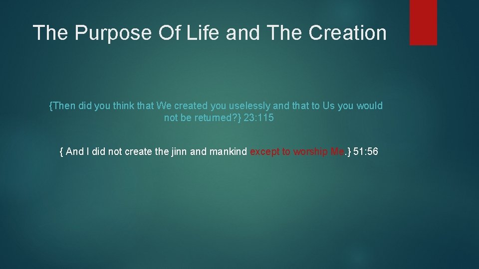The Purpose Of Life and The Creation {Then did you think that We created