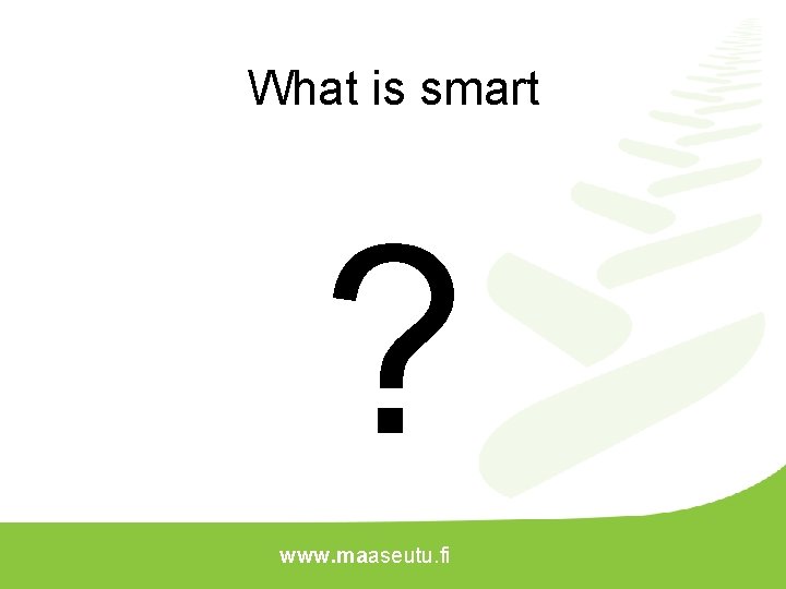 What is smart ? www. maaseutu. fi 
