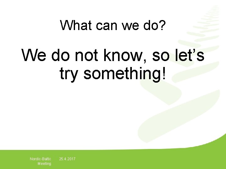 What can we do? We do not know, so let’s try something! Nordic-Baltic Meeting