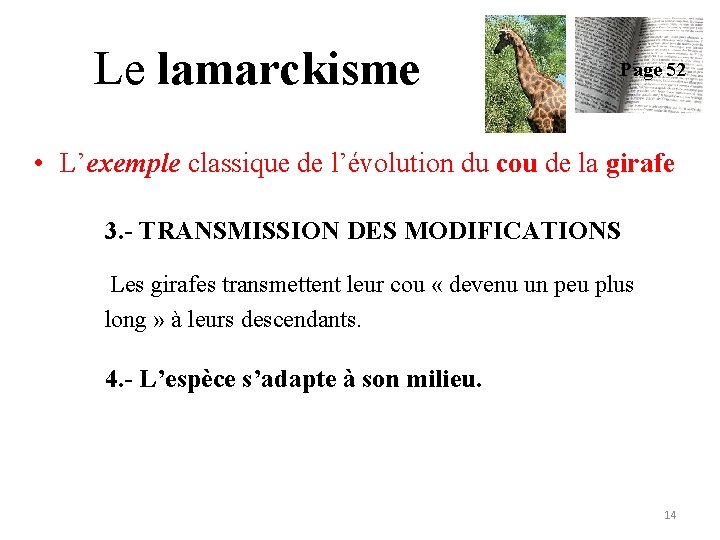 Le lamarckisme Page 52 • L’exemple classique de l’évolution du cou de la girafe