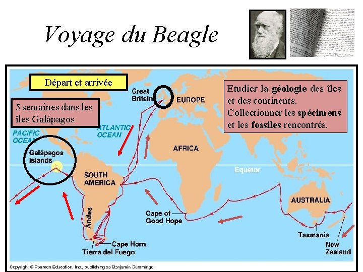 Voyage du Beagle Départ et arrivée 5 semaines dans les îles Galápagos Etudier la