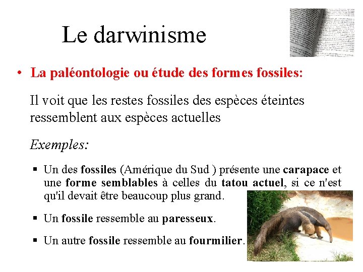 Le darwinisme • La paléontologie ou étude des formes fossiles: Il voit que les