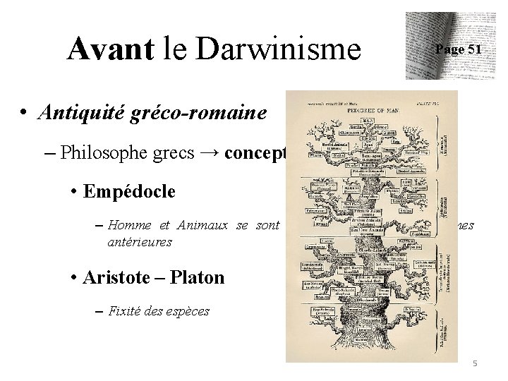 Avant le Darwinisme Page 51 • Antiquité gréco-romaine – Philosophe grecs → concept de