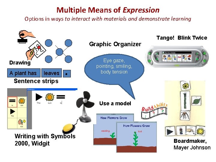 Multiple Means of Expression Options in ways to interact with materials and demonstrate learning Multiple Means of Expression Options in ways to interact with materials and demonstrate learning
