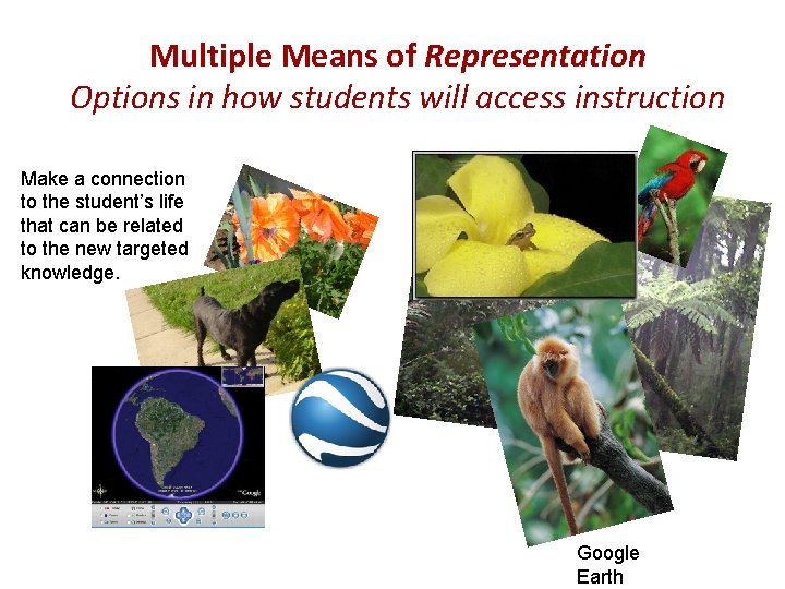 Multiple Means of Representation Options in how students will access instruction Make a connection Multiple Means of Representation Options in how students will access instruction Make a connection
