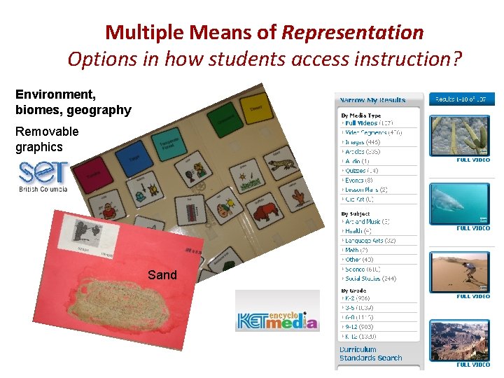 Multiple Means of Representation Options in how students access instruction? Environment, biomes, geography Removable Multiple Means of Representation Options in how students access instruction? Environment, biomes, geography Removable