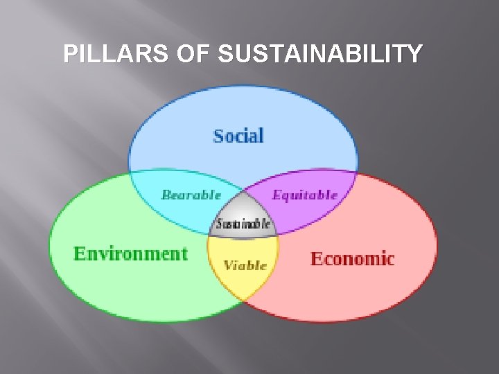 PILLARS OF SUSTAINABILITY 