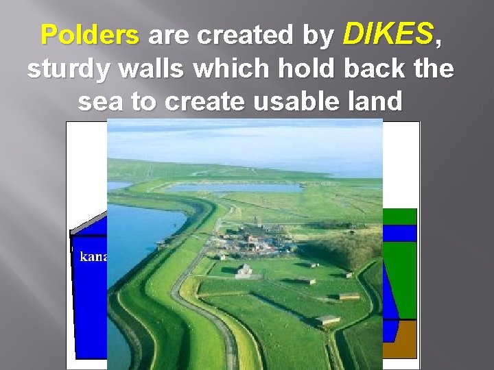 Polders are created by DIKES, sturdy walls which hold back the sea to create