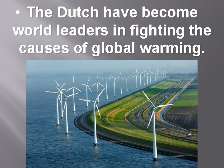  • The Dutch have become world leaders in fighting the causes of global
