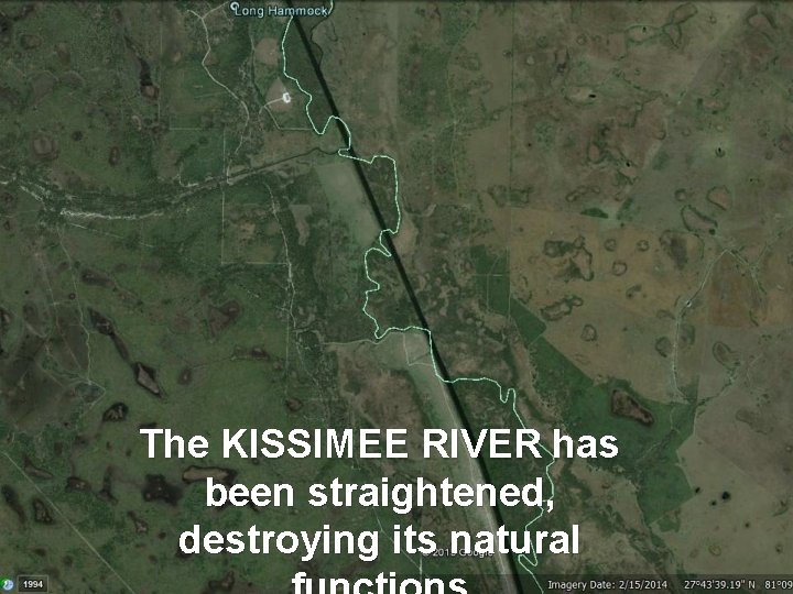 The KISSIMEE RIVER has been straightened, destroying its natural 