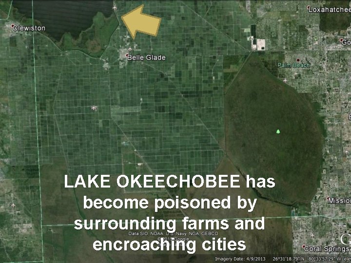 LAKE OKEECHOBEE has become poisoned by surrounding farms and encroaching cities 