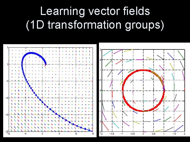 Learning vector fields (1 D transformation groups) 