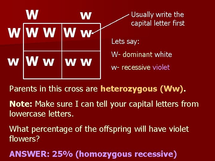 W w WWW Ww ww Usually write the capital letter first Lets say: W-