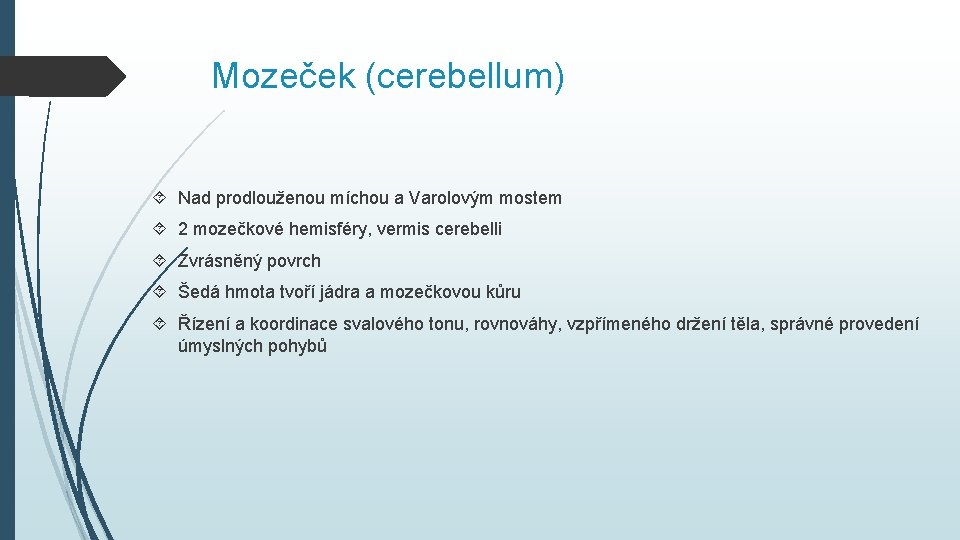 Mozeček (cerebellum) Nad prodlouženou míchou a Varolovým mostem 2 mozečkové hemisféry, vermis cerebelli Zvrásněný