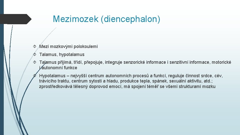 Mezimozek (diencephalon) Mezi mozkovými polokoulemi Talamus, hypotalamus Talamus přijímá, třídí, přepojuje, integruje senzorické informace