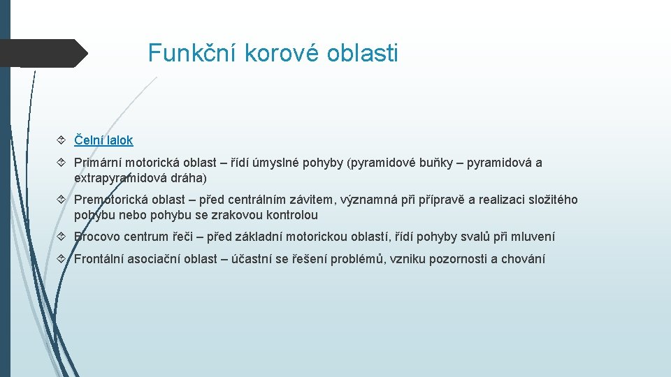 Funkční korové oblasti Čelní lalok Primární motorická oblast – řídí úmyslné pohyby (pyramidové buňky