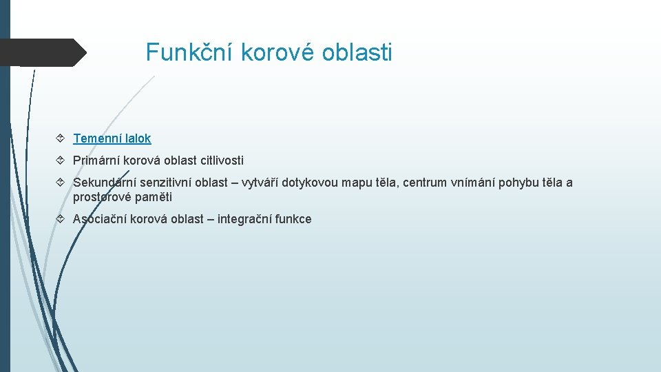 Funkční korové oblasti Temenní lalok Primární korová oblast citlivosti Sekundární senzitivní oblast – vytváří