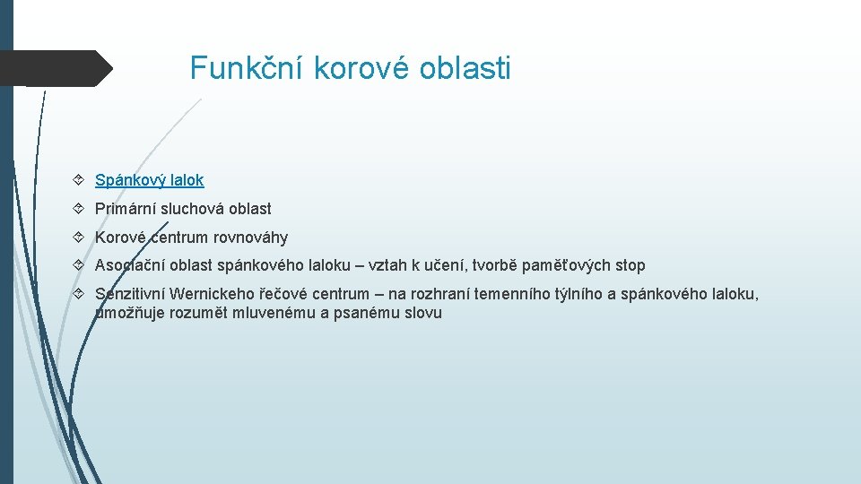 Funkční korové oblasti Spánkový lalok Primární sluchová oblast Korové centrum rovnováhy Asociační oblast spánkového