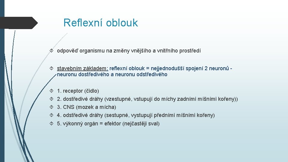 Reflexní oblouk odpověď organismu na změny vnějšího a vnitřního prostředí stavebním základem: reflexní oblouk