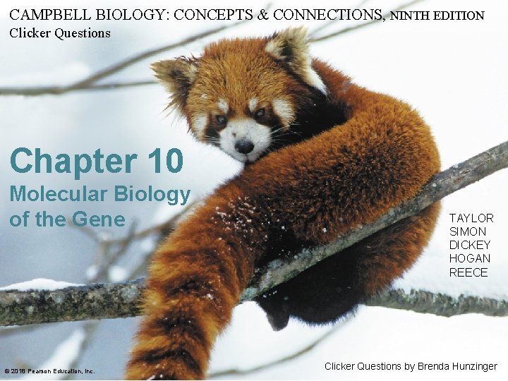 CAMPBELL BIOLOGY: CONCEPTS & CONNECTIONS, NINTH EDITION Clicker Questions Chapter 10 Molecular Biology of