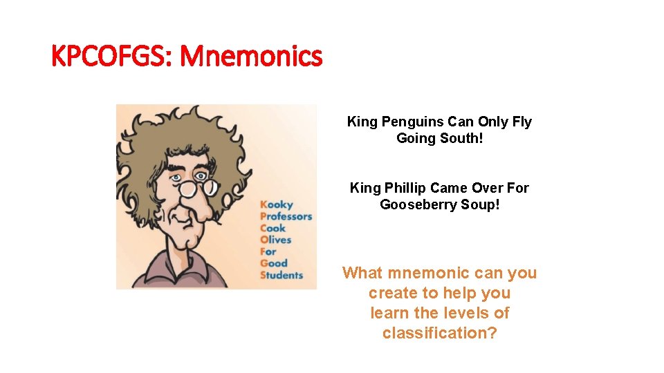 KPCOFGS: Mnemonics King Penguins Can Only Fly Going South! King Phillip Came Over For