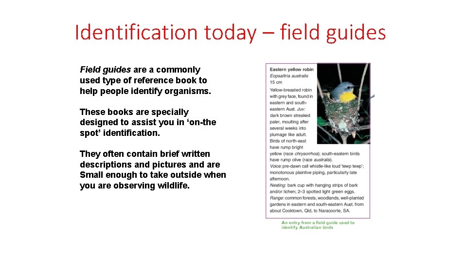 Identification today – field guides Field guides are a commonly used type of reference
