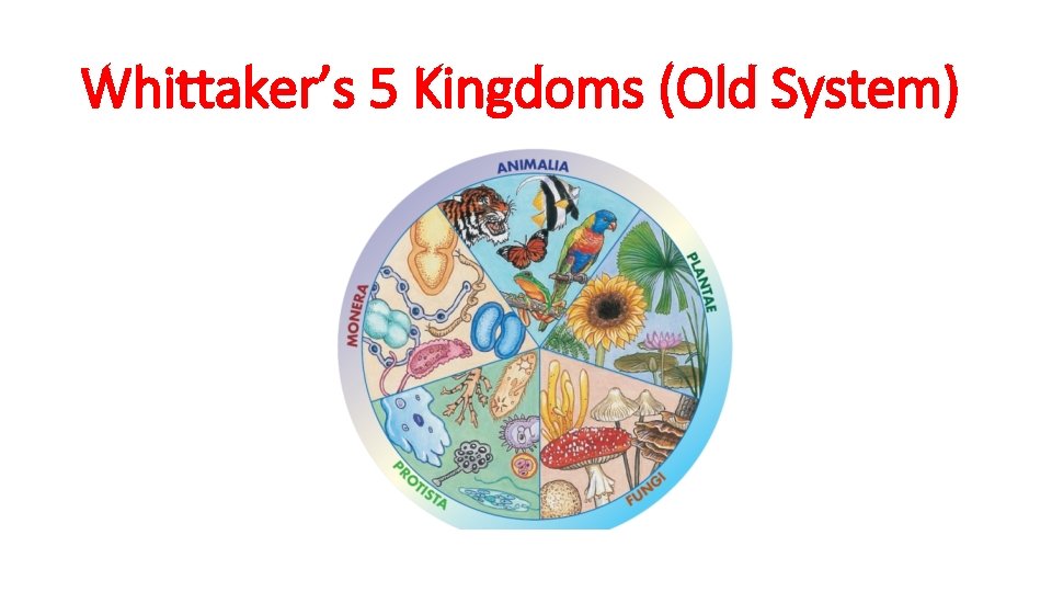 Whittaker’s 5 Kingdoms (Old System) 