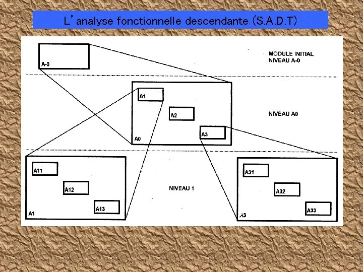 L’analyse fonctionnelle descendante (S. A. D. T) 