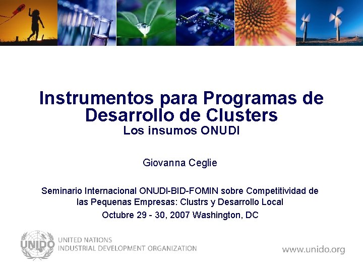 Instrumentos para Programas de Desarrollo de Clusters Los insumos ONUDI Giovanna Ceglie Seminario Internacional