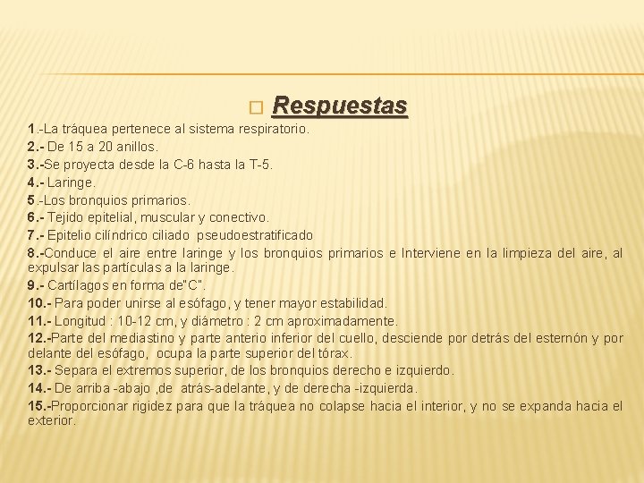 � Respuestas 1. -La tráquea pertenece al sistema respiratorio. 2. - De 15 a � Respuestas 1. -La tráquea pertenece al sistema respiratorio. 2. - De 15 a