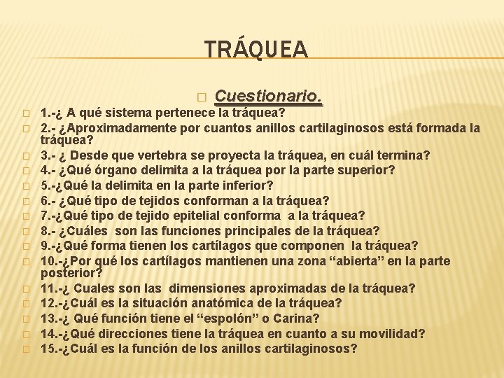 TRÁQUEA � � � � Cuestionario. 1. -¿ A qué sistema pertenece la tráquea? TRÁQUEA � � � � Cuestionario. 1. -¿ A qué sistema pertenece la tráquea?