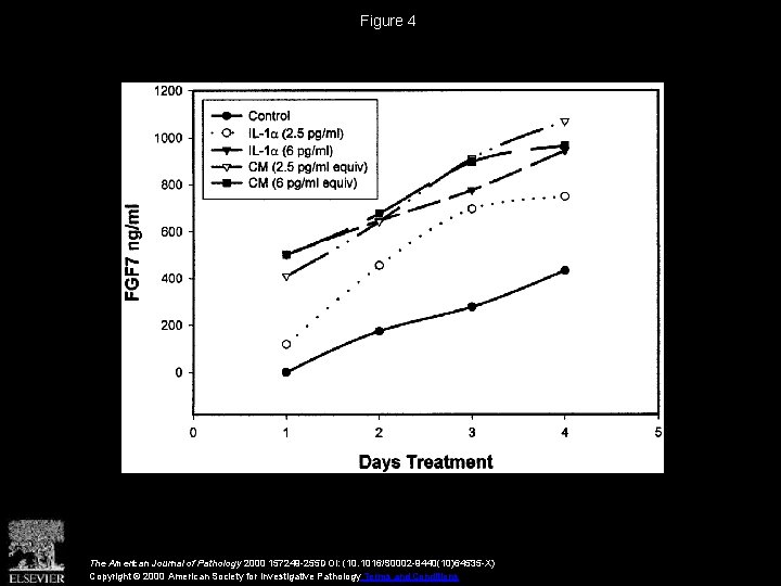 Figure 4 The American Journal of Pathology 2000 157249 -255 DOI: (10. 1016/S 0002