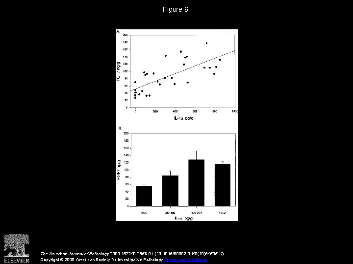 Figure 6 The American Journal of Pathology 2000 157249 -255 DOI: (10. 1016/S 0002