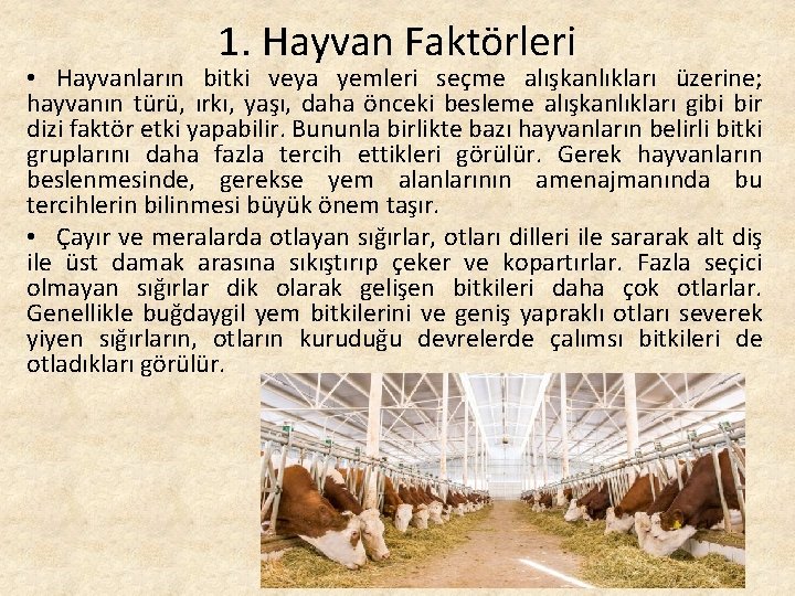 1. Hayvan Faktörleri • Hayvanların bitki veya yemleri seçme alışkanlıkları üzerine; hayvanın türü, ırkı,