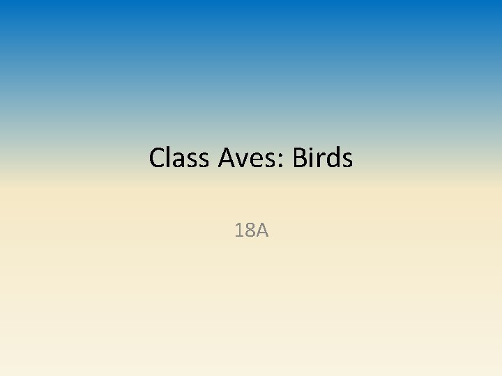 Class Aves: Birds 18 A 