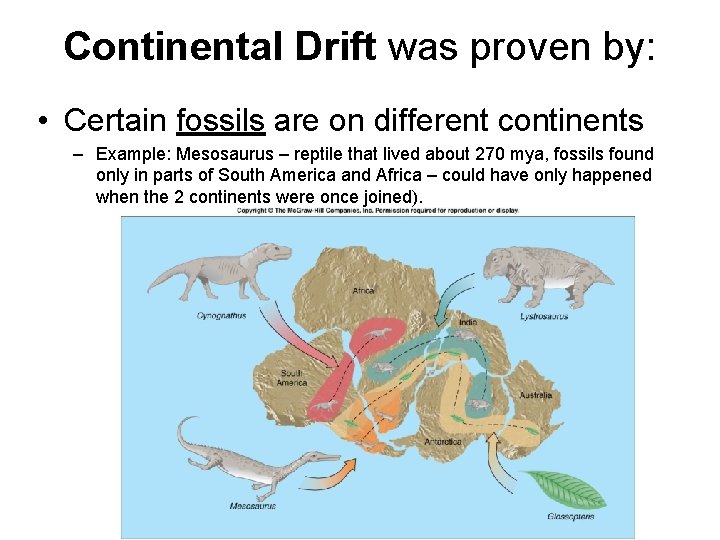 Continental Drift was proven by: • Certain fossils are on different continents – Example: