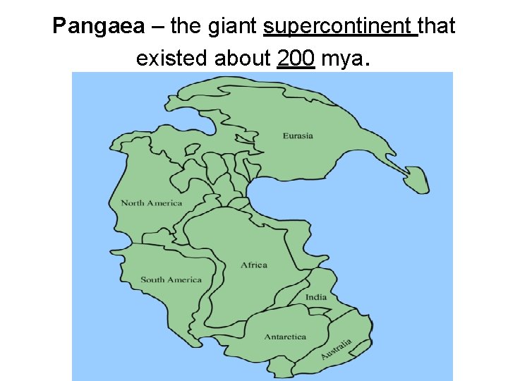 Pangaea – the giant supercontinent that existed about 200 mya. 