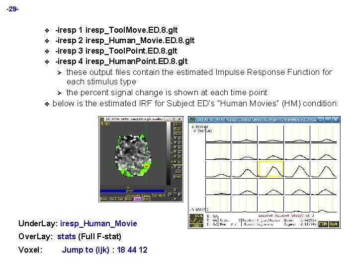 -29 v v -iresp 1 iresp_Tool. Move. ED. 8. glt -iresp 2 iresp_Human_Movie. ED.