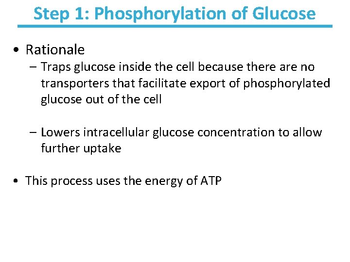 Step 1: Phosphorylation of Glucose • Rationale – Traps glucose inside the cell because