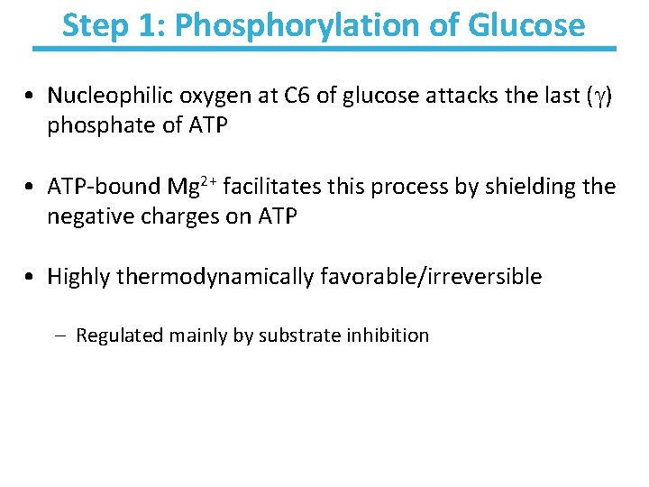 Step 1: Phosphorylation of Glucose • Nucleophilic oxygen at C 6 of glucose attacks