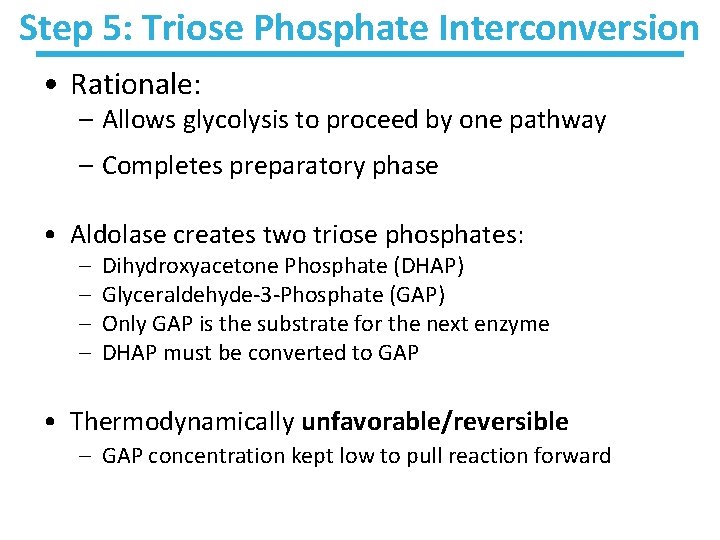 Step 5: Triose Phosphate Interconversion • Rationale: – Allows glycolysis to proceed by one