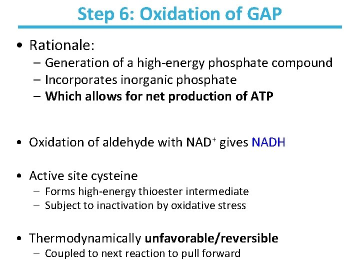 Step 6: Oxidation of GAP • Rationale: – Generation of a high-energy phosphate compound