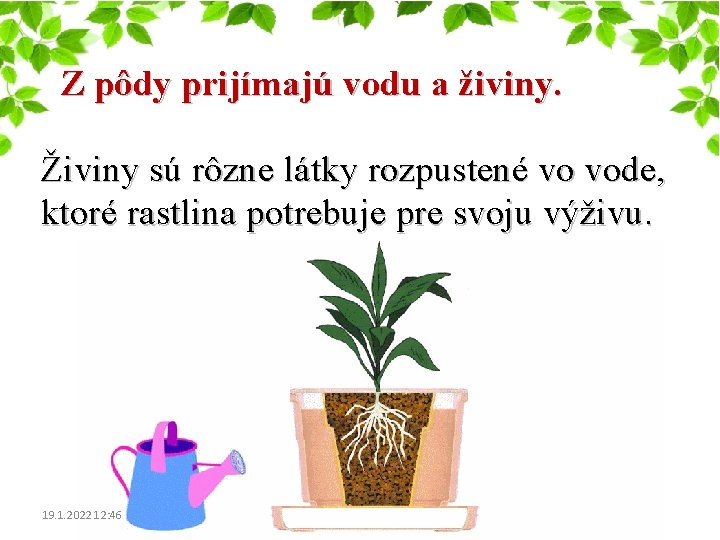 Z pôdy prijímajú vodu a živiny. Živiny sú rôzne látky rozpustené vo vode, ktoré