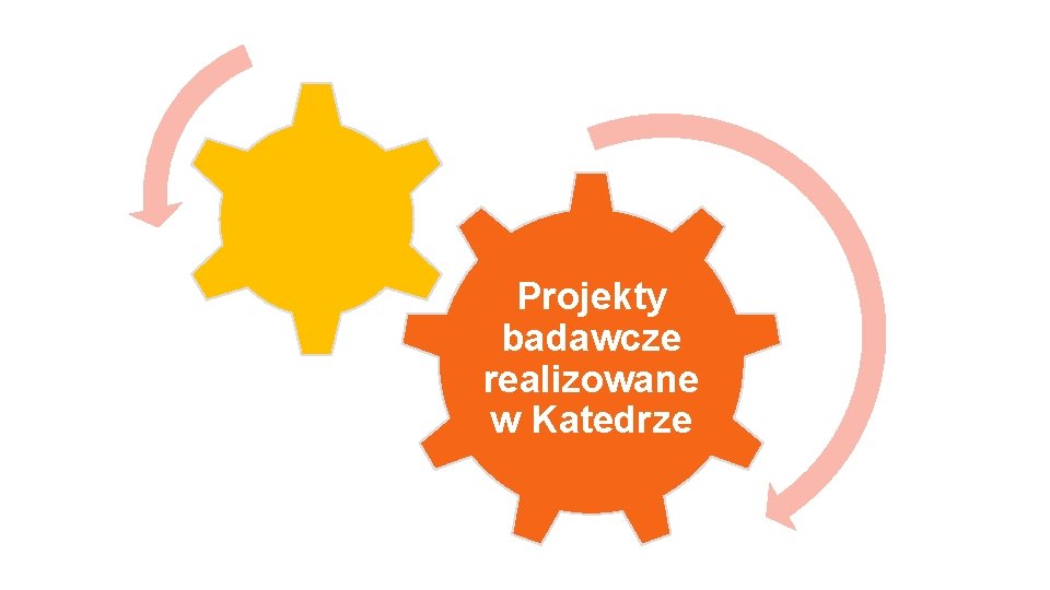 Projekty badawcze realizowane w Katedrze 